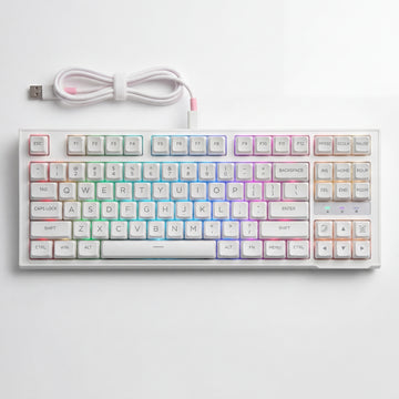 Langyan RGB Mechanical Gaming Keyboard TKL Wired USB-C RGB Backlit Keyboard