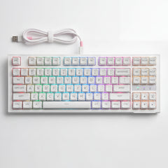 Langyan RGB Mechanical Gaming Keyboard TKL Wired USB-C RGB Backlit Keyboard